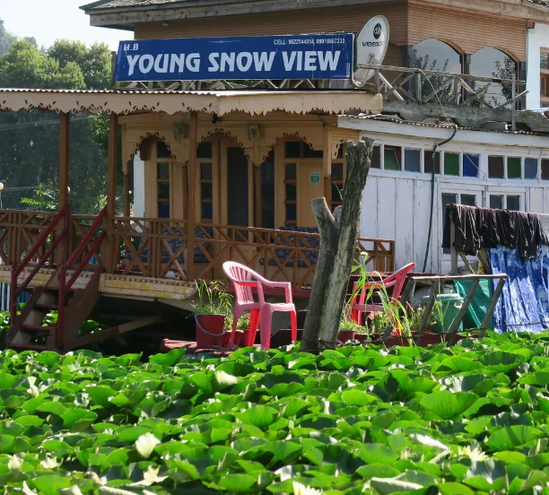 The Young Snow View signboard at the ghat on Dal Lake