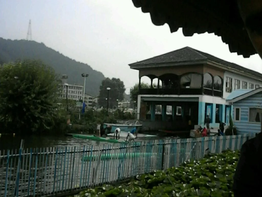 The houseboat moored among lotus beds on Dal Lake